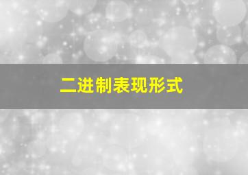 二进制表现形式