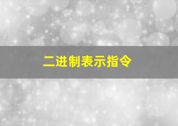 二进制表示指令