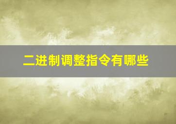 二进制调整指令有哪些