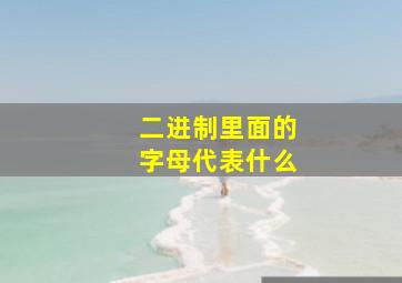 二进制里面的字母代表什么