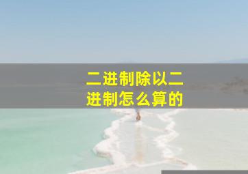 二进制除以二进制怎么算的