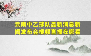 云南中乙球队最新消息新闻发布会视频直播在哪看