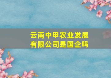 云南中甲农业发展有限公司是国企吗