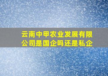 云南中甲农业发展有限公司是国企吗还是私企