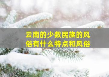 云南的少数民族的风俗有什么特点和风俗