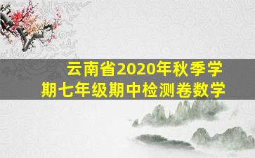 云南省2020年秋季学期七年级期中检测卷数学