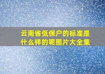 云南省低保户的标准是什么样的呢图片大全集