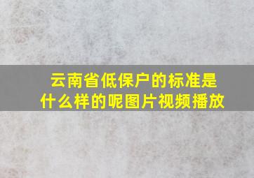 云南省低保户的标准是什么样的呢图片视频播放