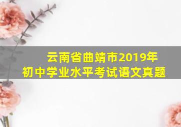 云南省曲靖市2019年初中学业水平考试语文真题