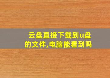 云盘直接下载到u盘的文件,电脑能看到吗