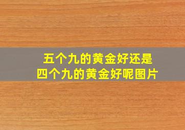 五个九的黄金好还是四个九的黄金好呢图片