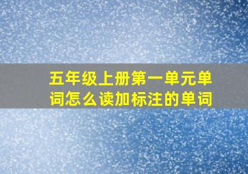 五年级上册第一单元单词怎么读加标注的单词