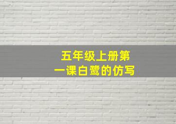 五年级上册第一课白鹭的仿写