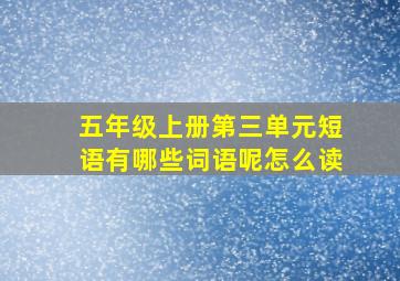 五年级上册第三单元短语有哪些词语呢怎么读