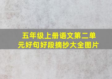 五年级上册语文第二单元好句好段摘抄大全图片