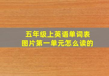 五年级上英语单词表图片第一单元怎么读的