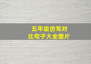 五年级仿写对比句子大全图片