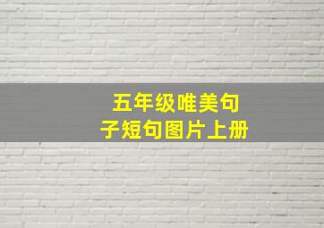 五年级唯美句子短句图片上册