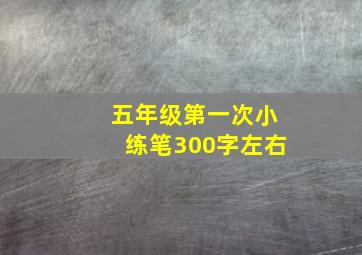 五年级第一次小练笔300字左右