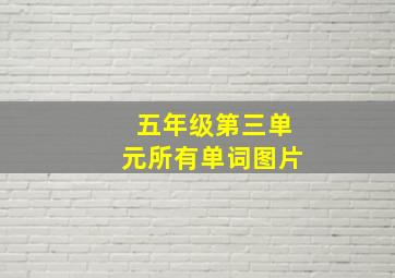 五年级第三单元所有单词图片