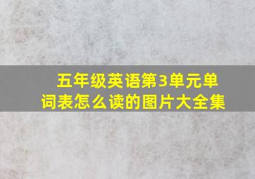 五年级英语第3单元单词表怎么读的图片大全集