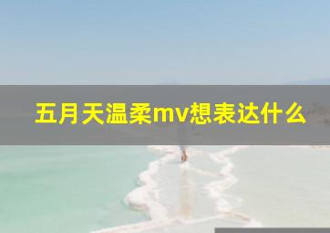 五月天温柔mv想表达什么