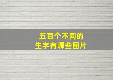 五百个不同的生字有哪些图片