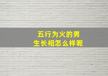 五行为火的男生长相怎么样呢