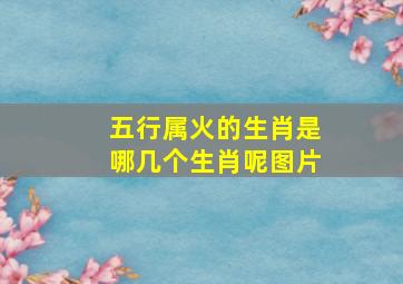 五行属火的生肖是哪几个生肖呢图片