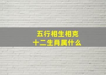 五行相生相克十二生肖属什么