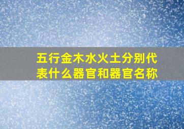 五行金木水火土分别代表什么器官和器官名称