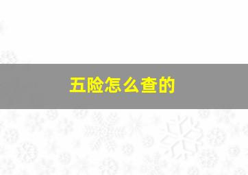 五险怎么查的