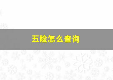 五险怎么查询