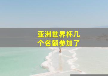 亚洲世界杯几个名额参加了