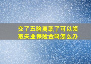 交了五险离职了可以领取失业保险金吗怎么办