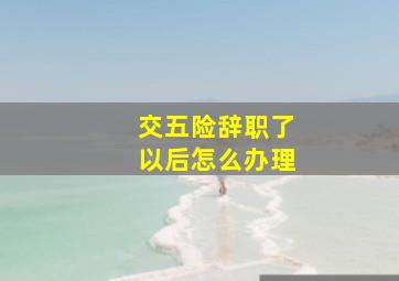 交五险辞职了以后怎么办理