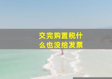 交完购置税什么也没给发票