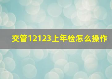 交管12123上年检怎么操作