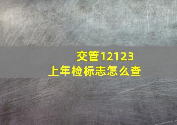 交管12123上年检标志怎么查