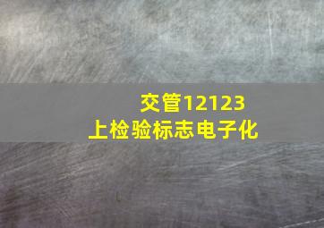 交管12123上检验标志电子化