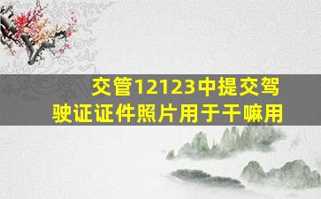 交管12123中提交驾驶证证件照片用于干嘛用