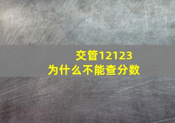 交管12123为什么不能查分数