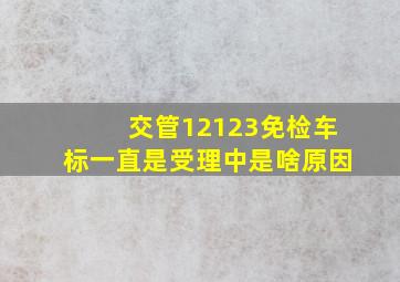 交管12123免检车标一直是受理中是啥原因