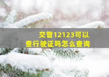 交管12123可以查行驶证吗怎么查询