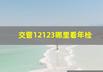 交管12123哪里看年检