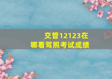 交管12123在哪看驾照考试成绩