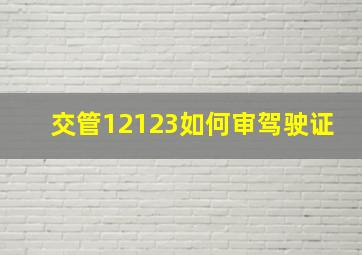 交管12123如何审驾驶证