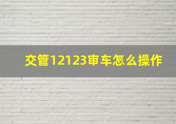 交管12123审车怎么操作