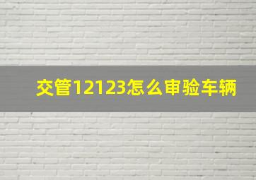 交管12123怎么审验车辆