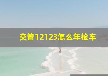 交管12123怎么年检车